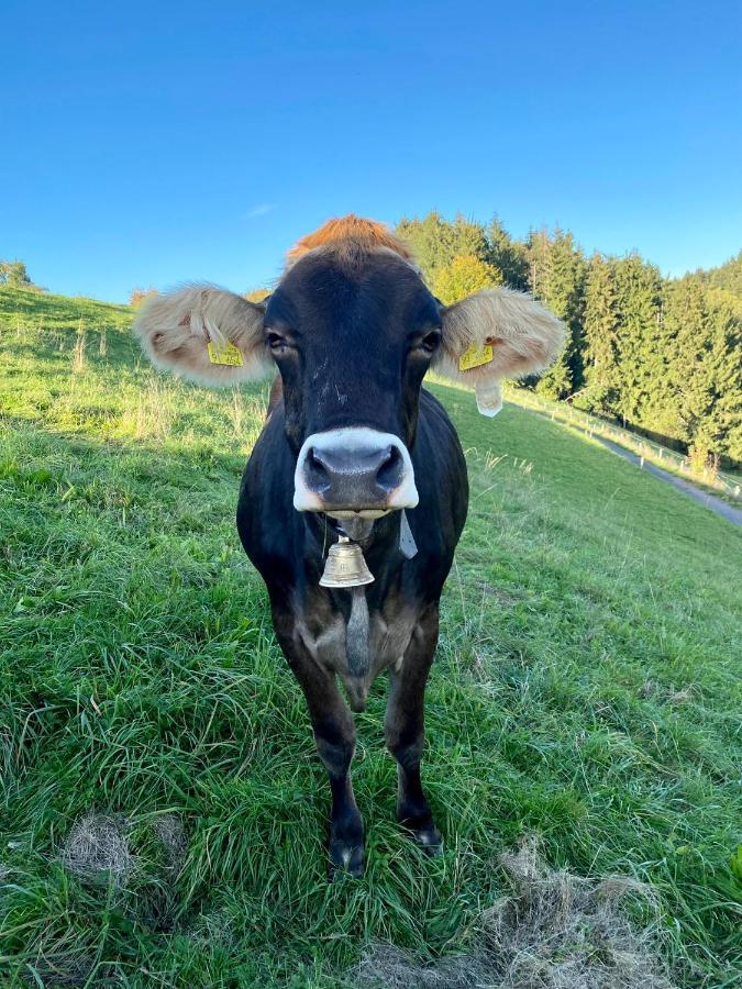 Ferienwohnung Bergblick Wangen Im Allgaeu Mit Garten, 2022 Komplett Renoviert Екстер'єр фото